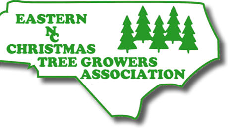 Group Banner Picture